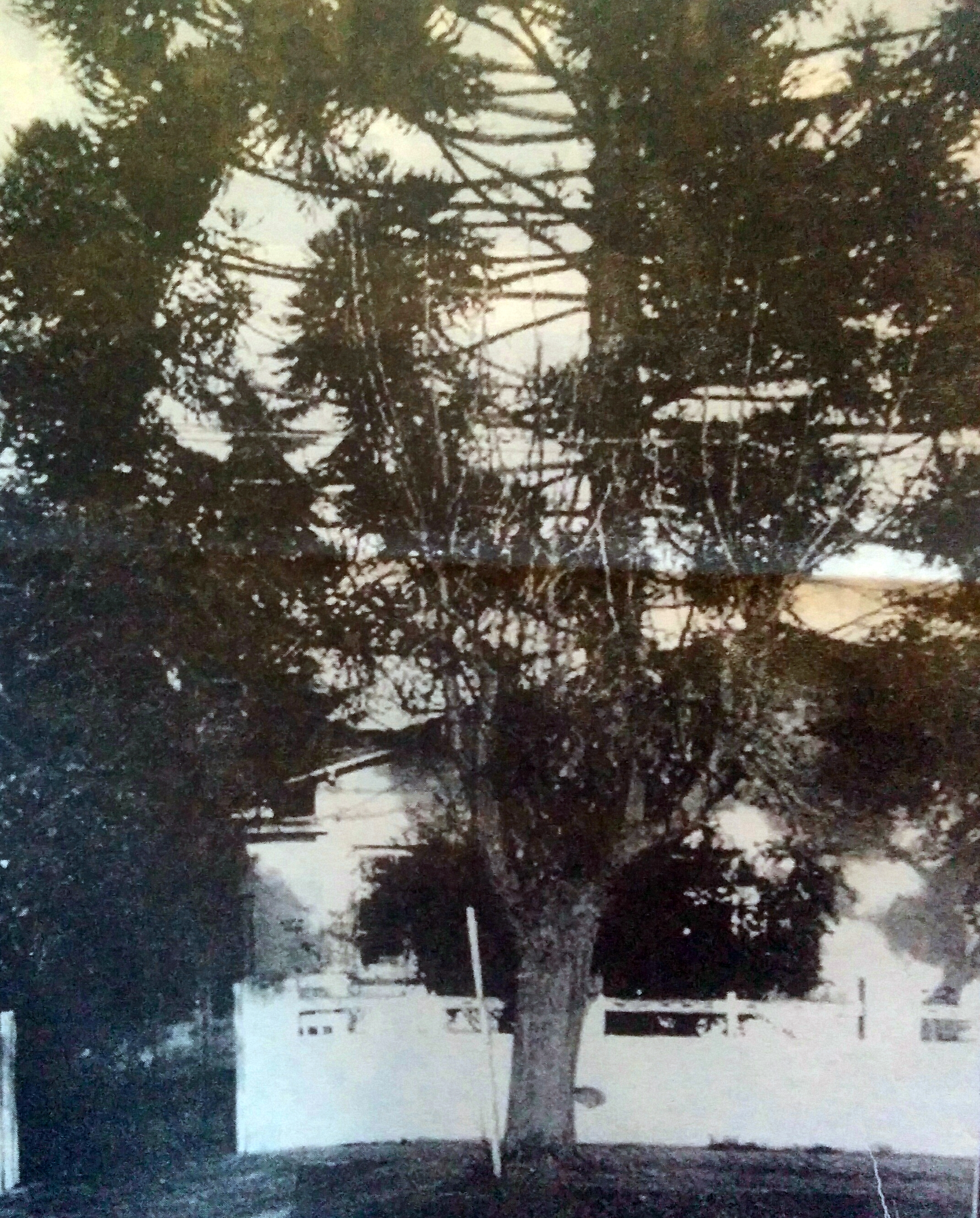 Escuela Nº33 "Dr. José León Suárez" (Edificio inaugurado en 1951)
