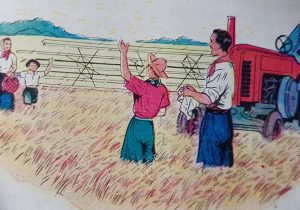 Láminas ilustrativas, sobre el Trabajo, publicadas, en distintos libros de lectura, de escuela primaria, correspondientes a la década de 1950.