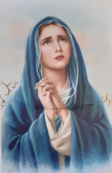 DÍA DE LA INMACULADA CONCEPCIÓN: 8 DE DICIEMBRE