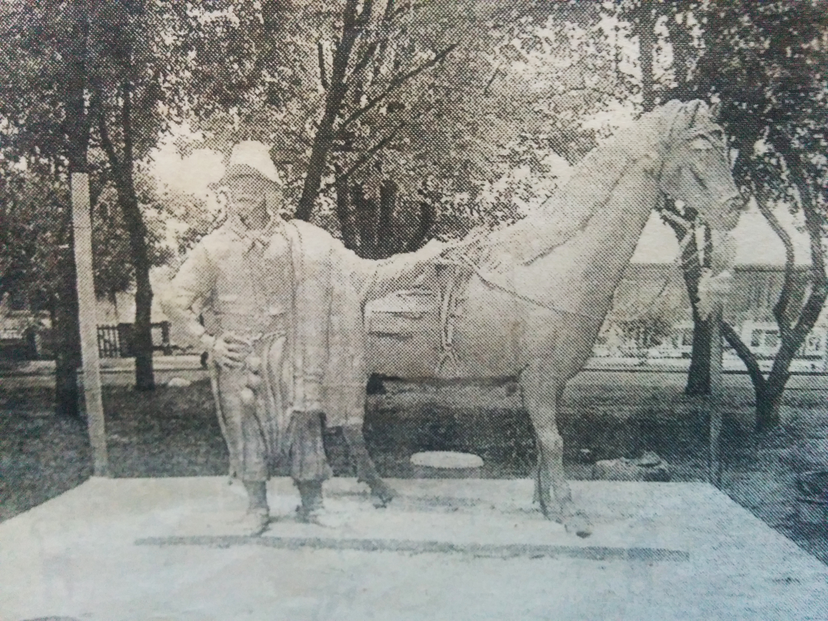 Los 17 años del Monumento al Gaucho