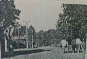 Localidad Rural de La Rica