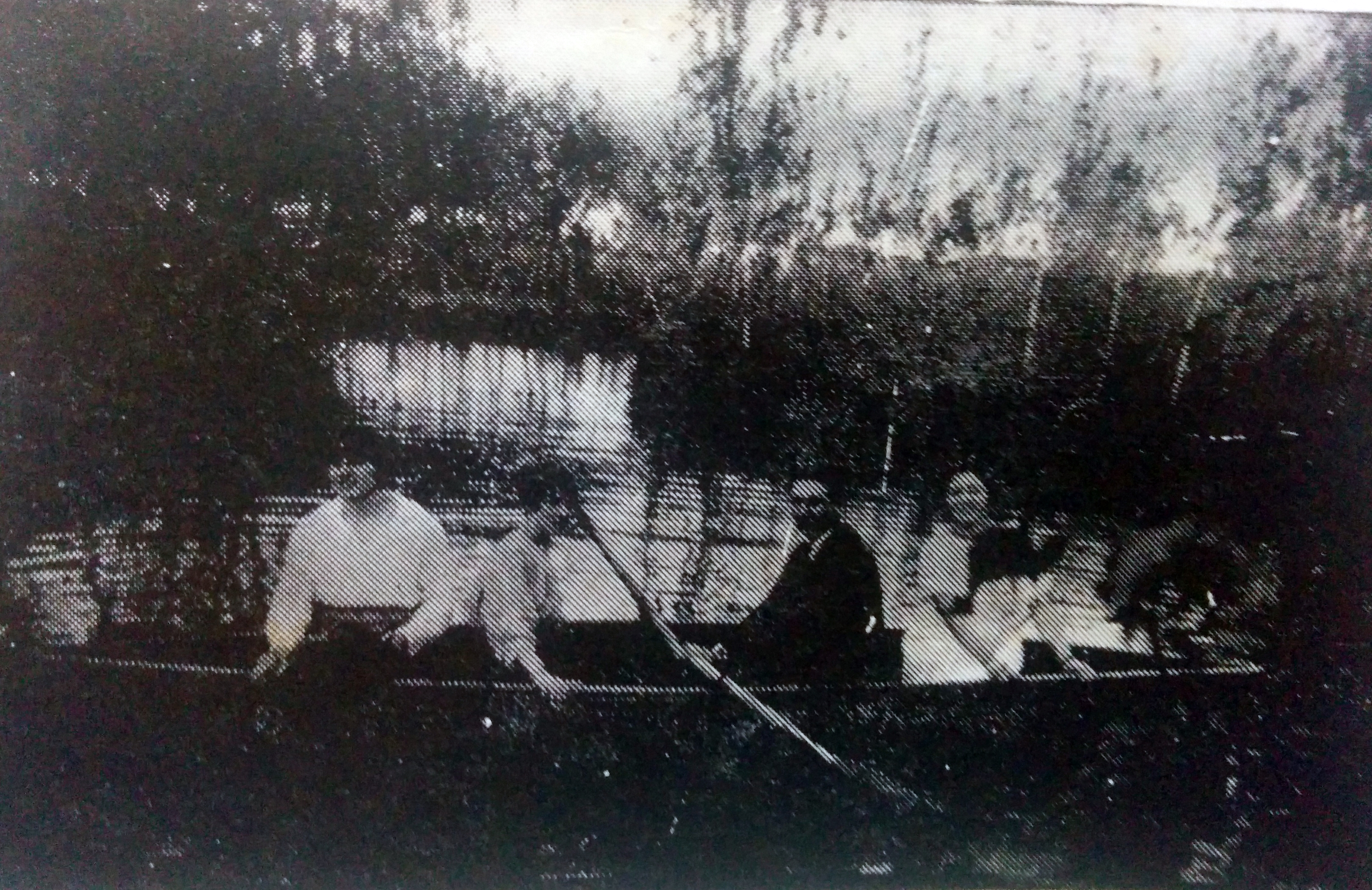 Una estampa fotográfica del legendario “Lago de las Rosas”