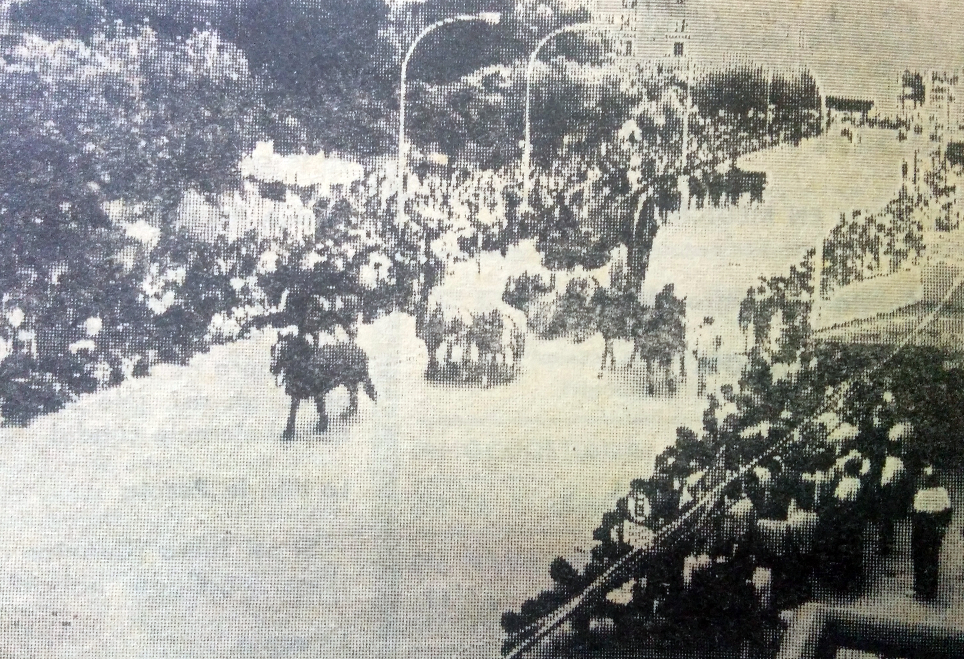 La Tradición Nacional y Chivilcoy