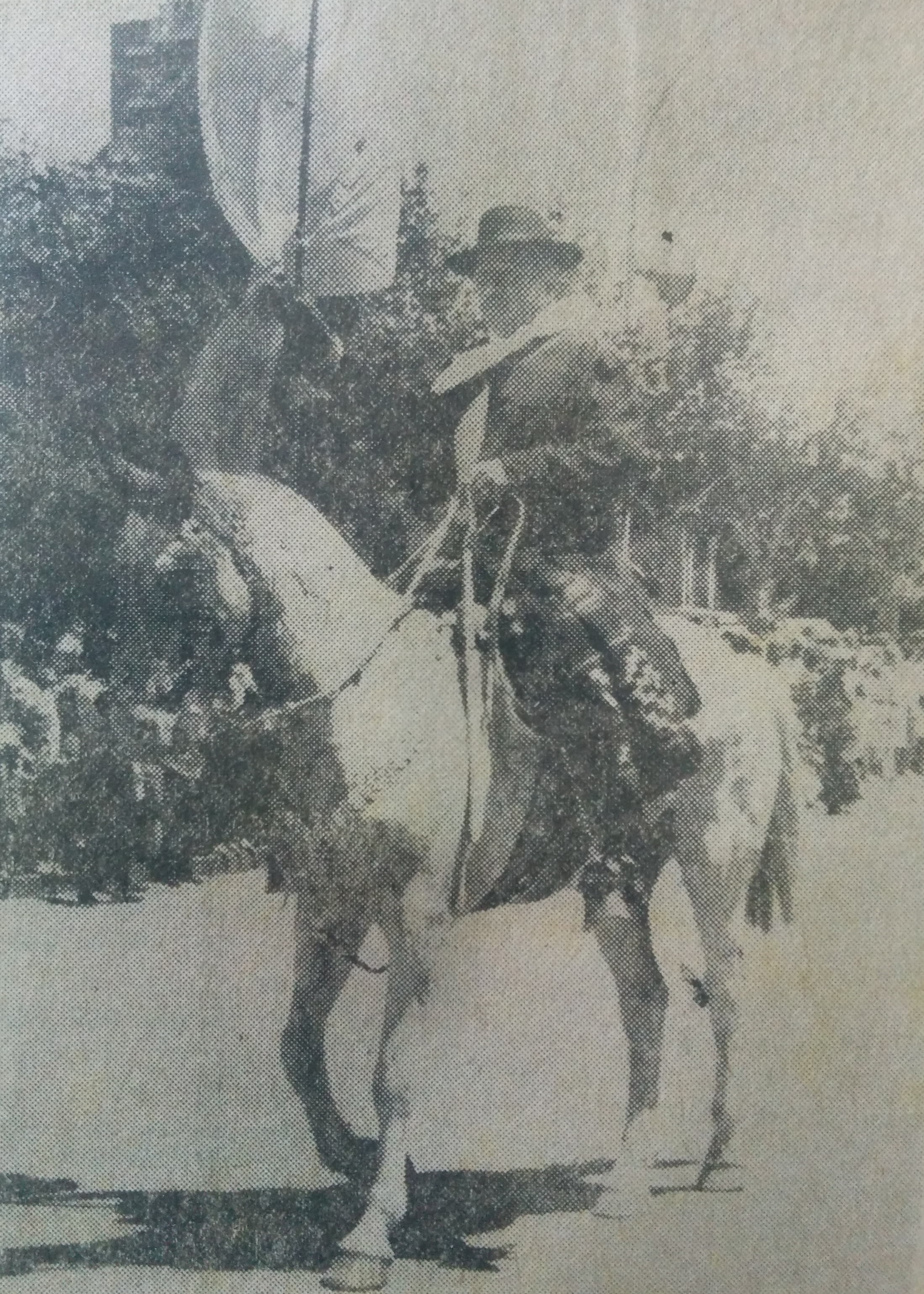 Don Roberto Reinoso (1923-2015), abanderado de la Fiesta Argentina de La Tradición, en el desfile criollo y evocativo, del domingo 15 de noviembre de 1981 (24 Fiesta de La Tradición, y primera Fiesta Provincial del Resero).