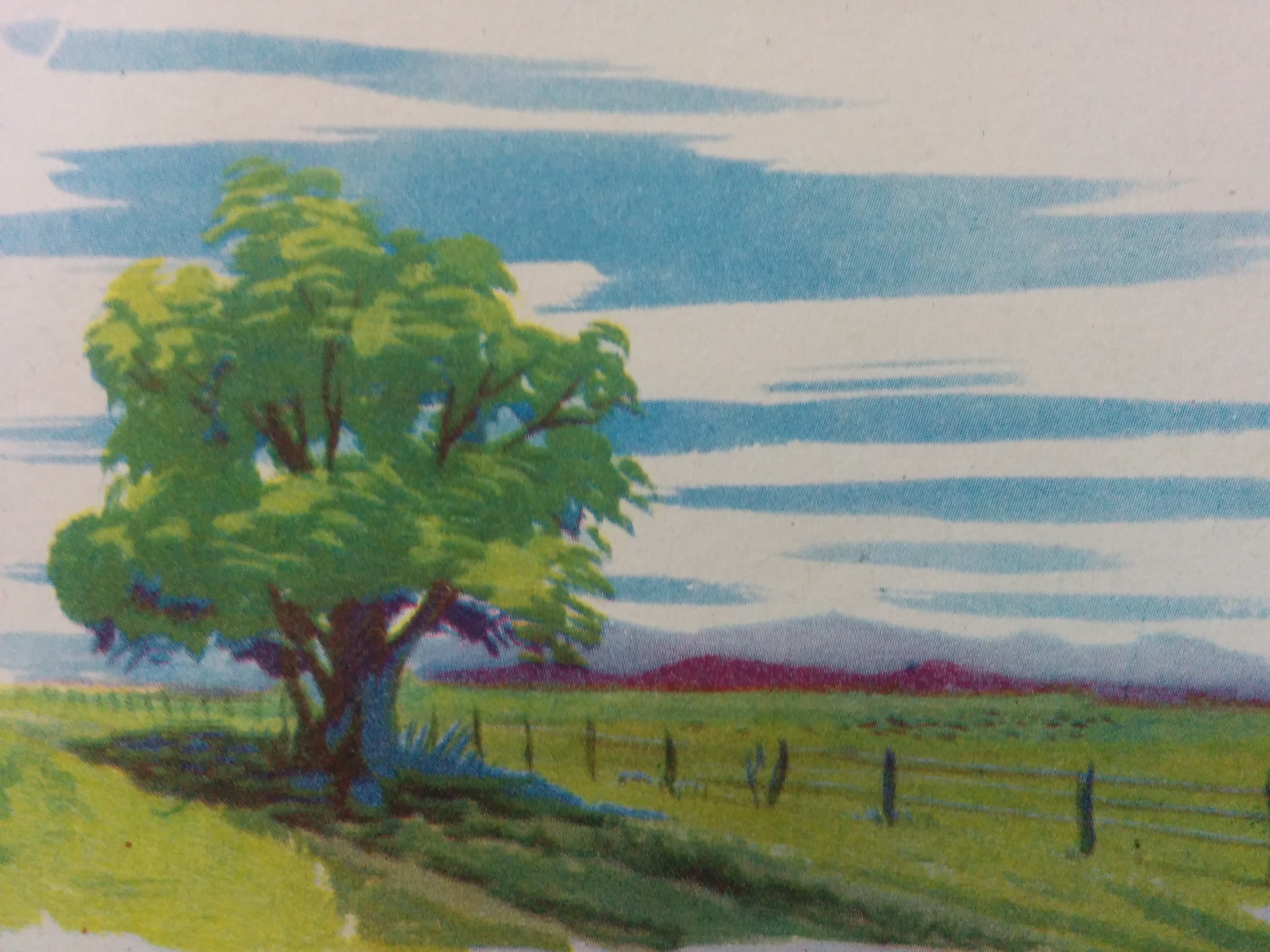 La primavera de un nuevo país, para bien de los argentinos…