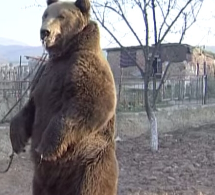 Gitanos en Chivilcoy y el recuerdo del poeta Francisco Palmentieri (1907 – 1933).